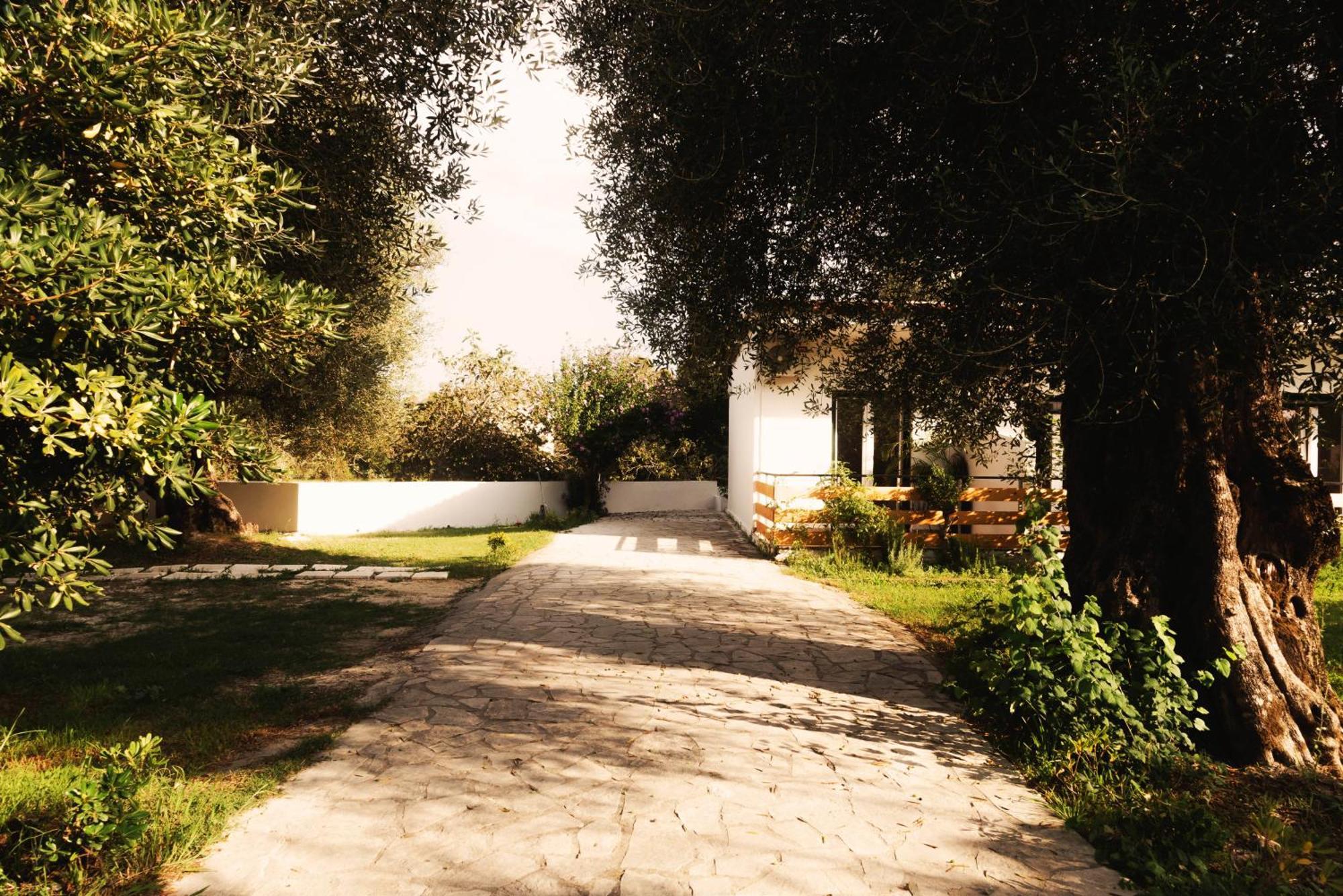 Olive Grove Boutique 4* Moraḯtika
